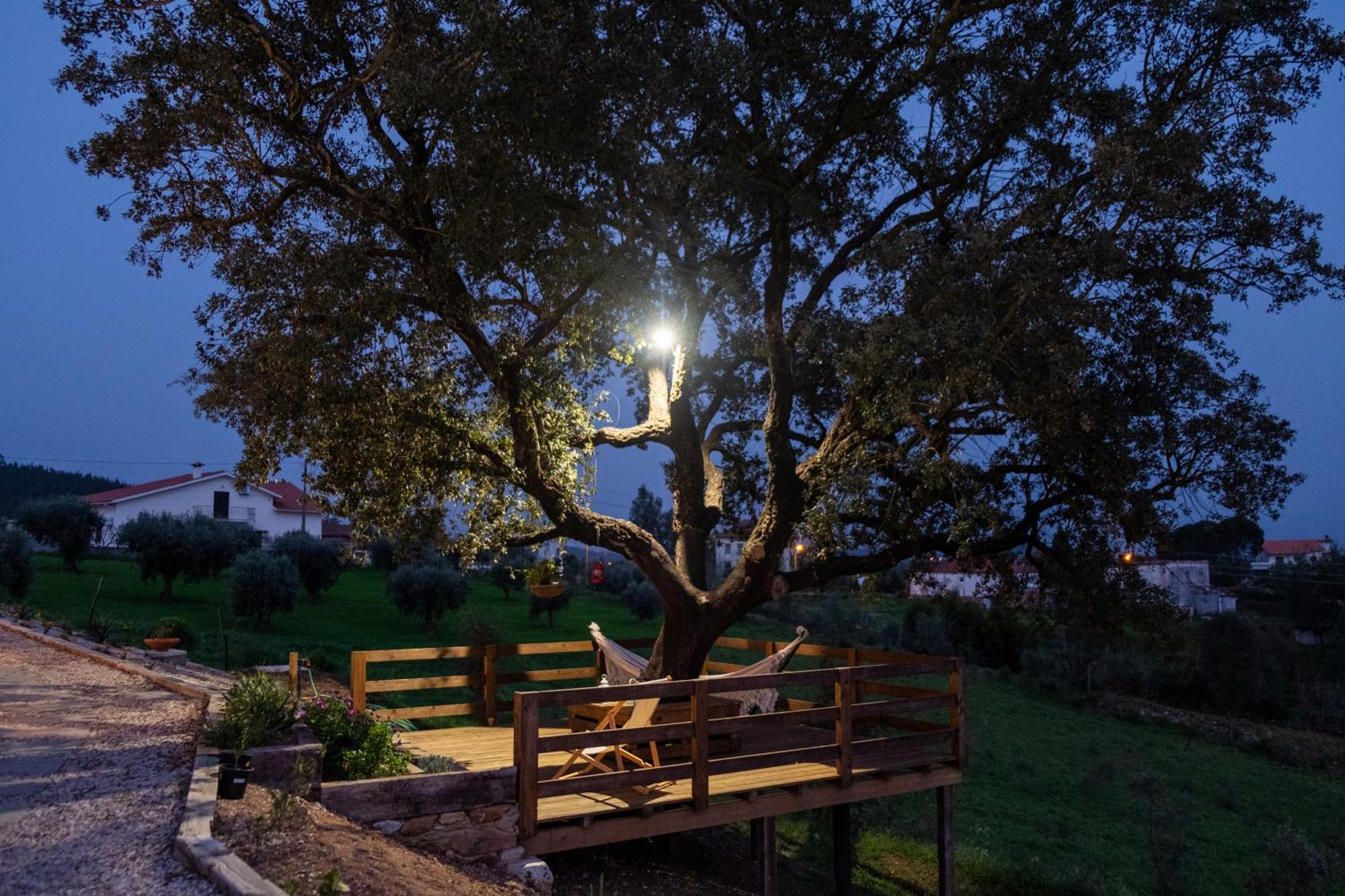 Quinta Do Esteval Пенакова Екстер'єр фото